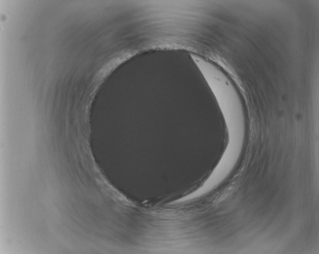 X0000066120673200604071913