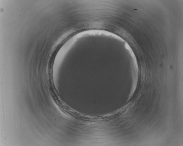 X0000066120674200604071913