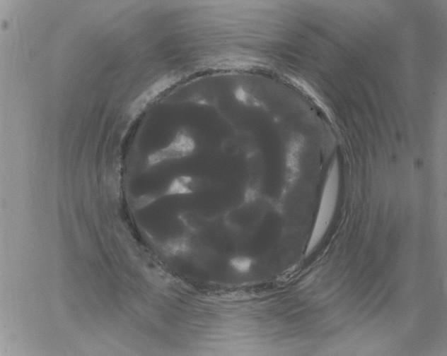 X0000066120675200604071913