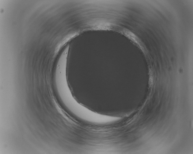 X0000066120677200604071913