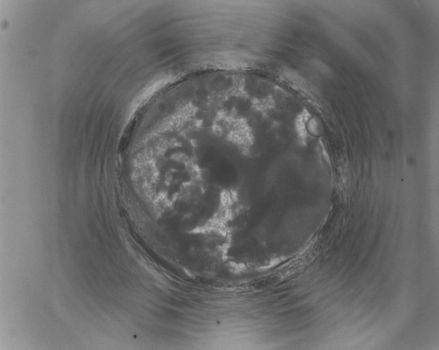 X0000066120679200604071913