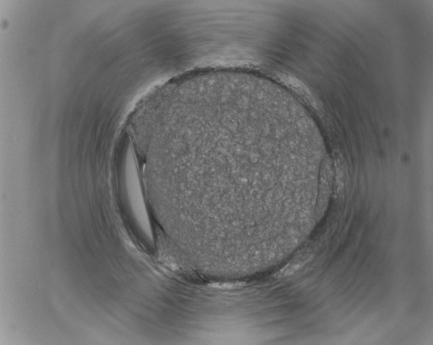 X0000066120680200604071912