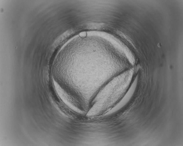 X0000066120682200604071912