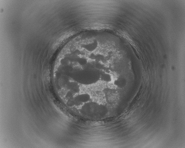 X0000066120683200604071912