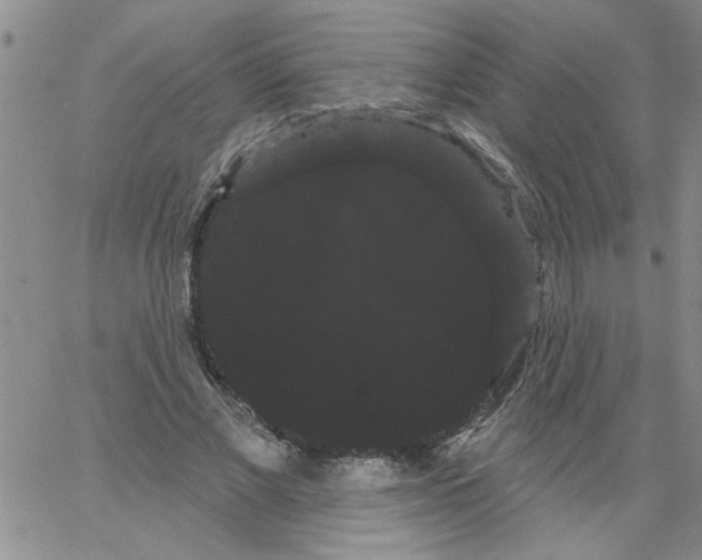 X0000066120685200604071912