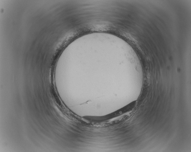 X0000066120686200604071912