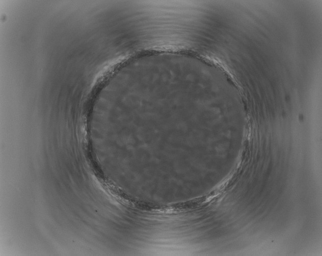 X0000066120688200604071912