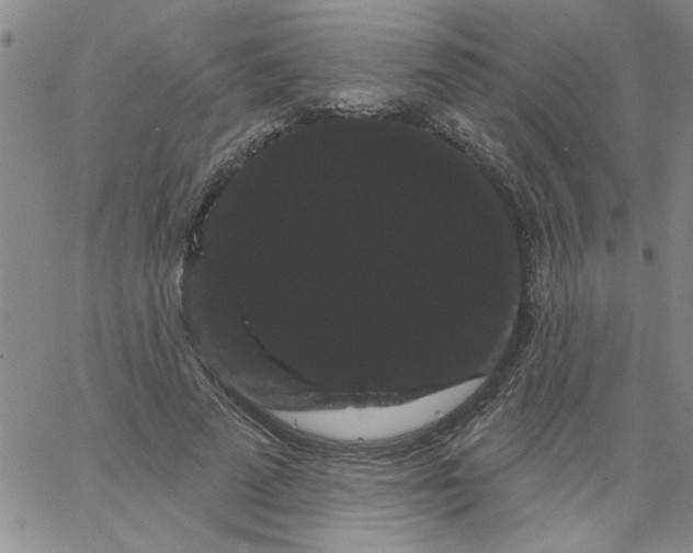 X0000066120689200604071912