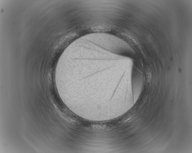 X0000066120690200604071912