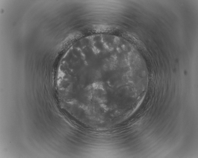 X0000066120691200604071912