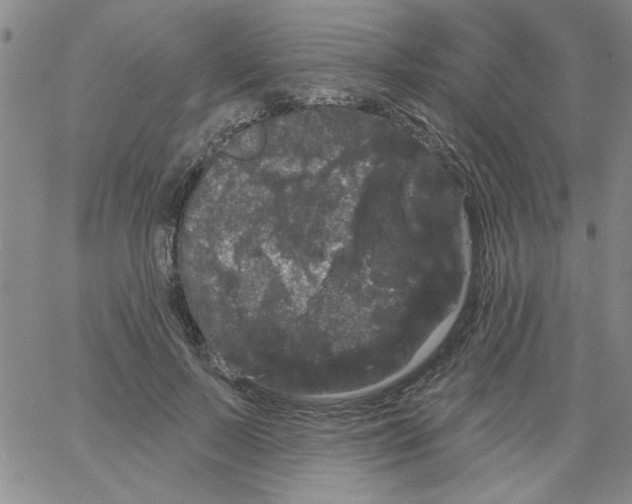 X0000066120695200604071912