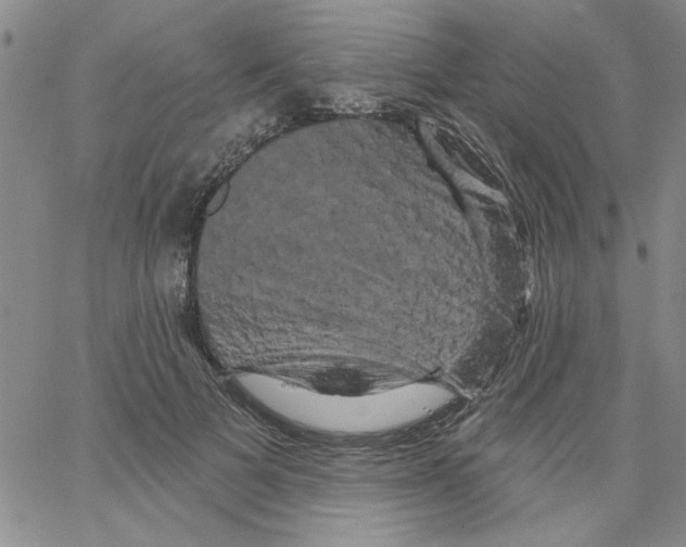 X0000066120697200604071912