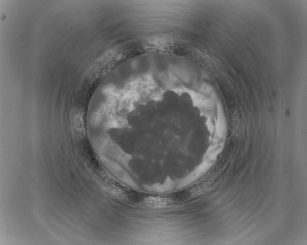 X0000066120699200604071912