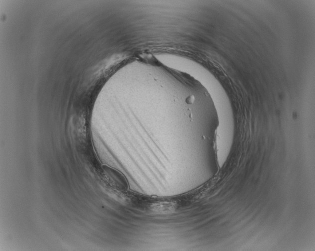 X0000066120700200604071912