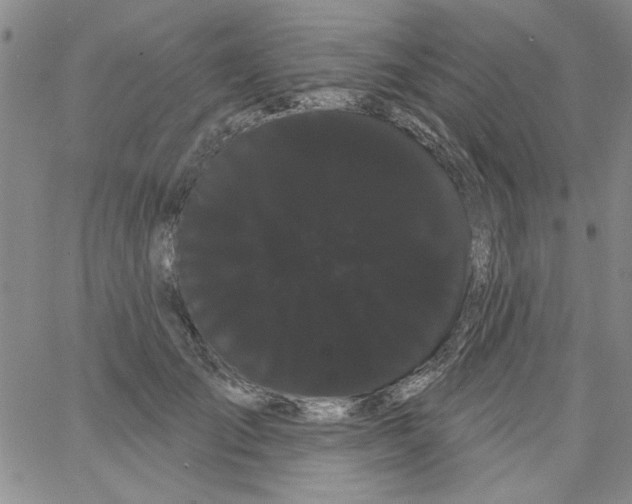 X0000066120701200604071912