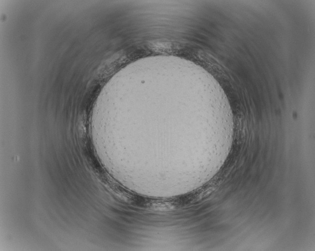 X0000066120702200604071912