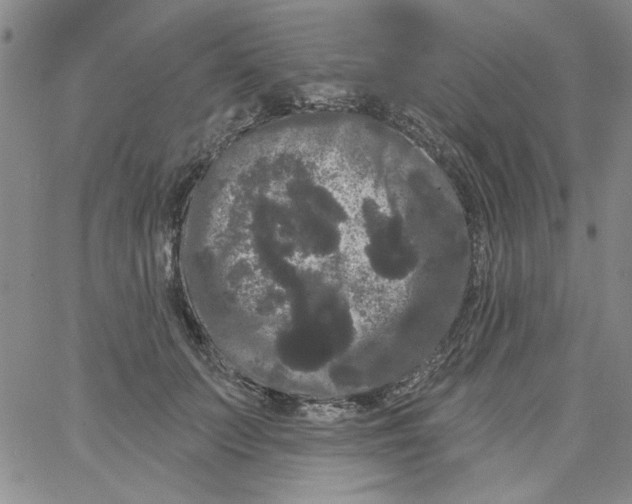 X0000066120703200604071912