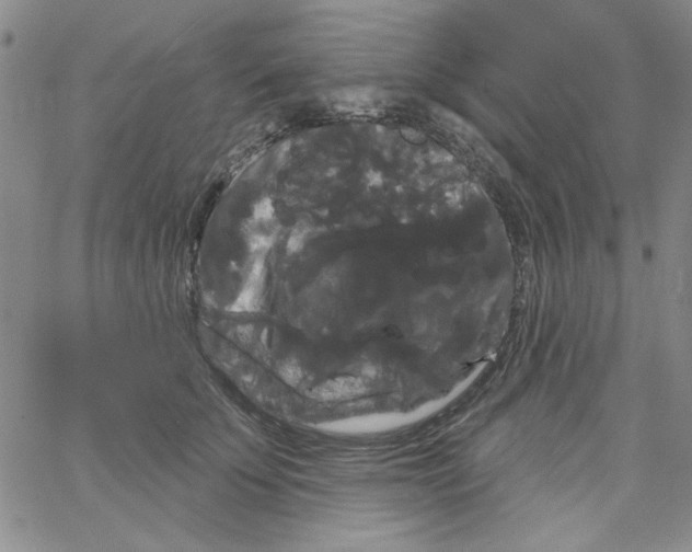 X0000066120707200604071912