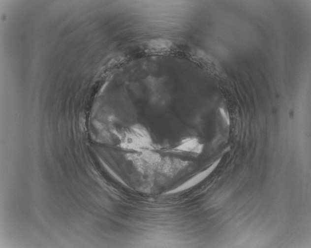 X0000066120711200604071912