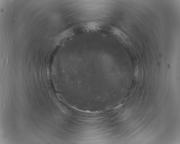 X0000066120715200604071912