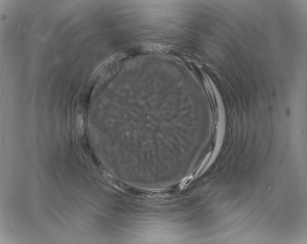 X0000066120716200604071912