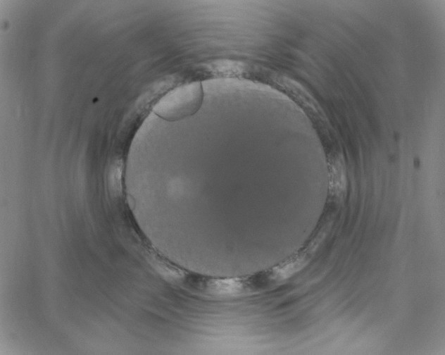 X0000066120717200604071912