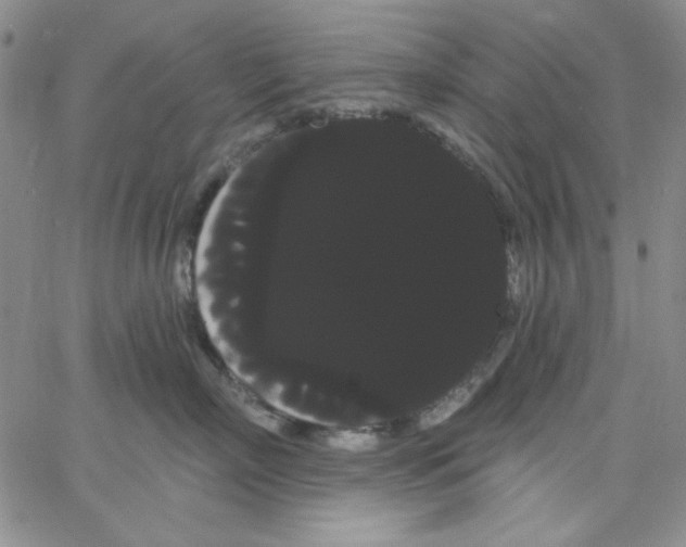 X0000066120718200604071912