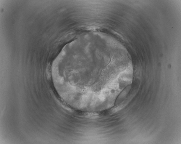 X0000066120719200604071912