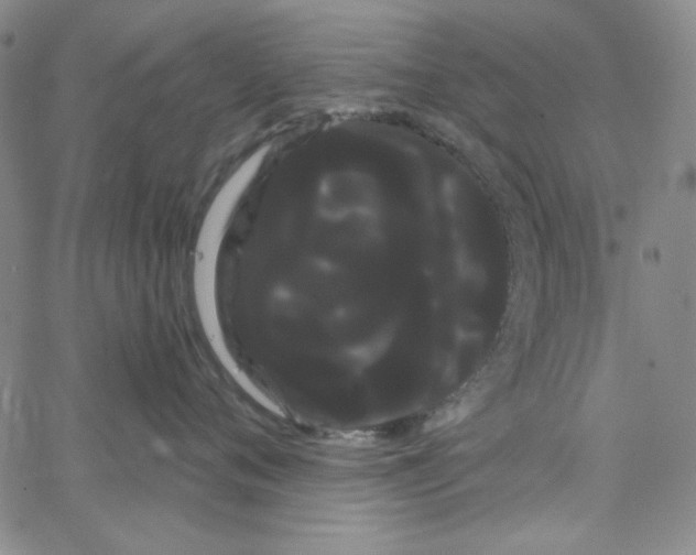 X0000066120720200604071912