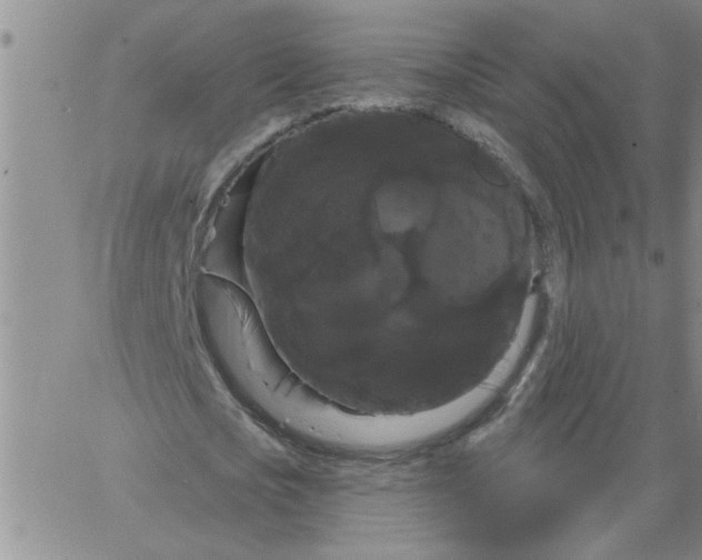 X0000066120721200604071911