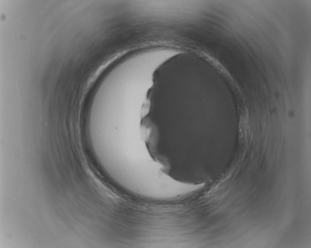 X0000066120722200604071911