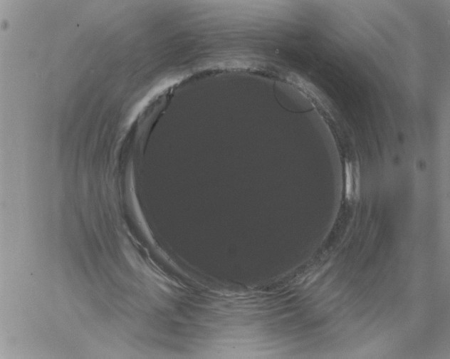 X0000066120723200604071911