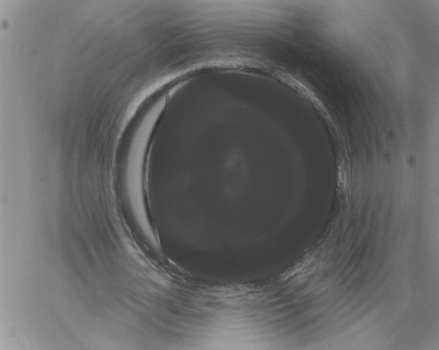 X0000066120724200604071911