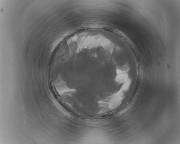 X0000066120725200604071911