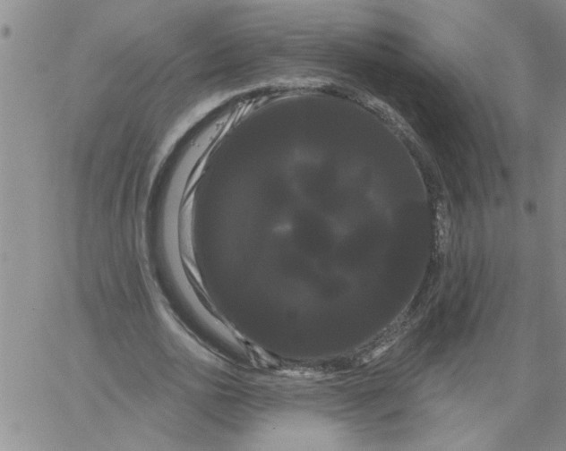 X0000066120726200604071911