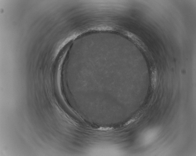 X0000066120727200604071911