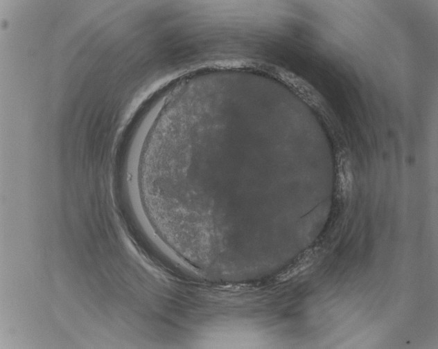 X0000066120728200604071911