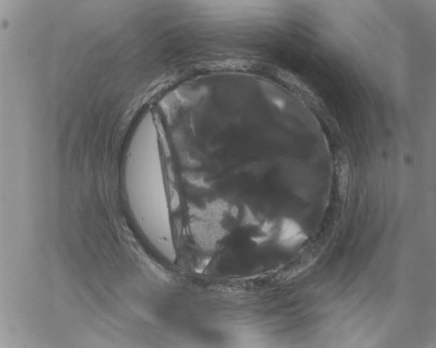 X0000066120729200604071911