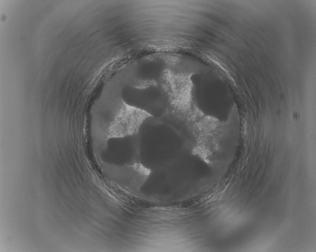 X0000066120733200604071911