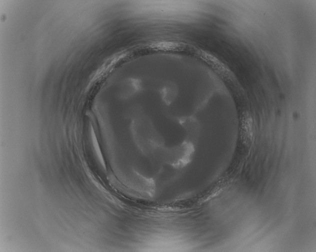 X0000066120734200604071911