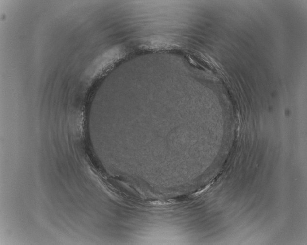 X0000066120735200604071911