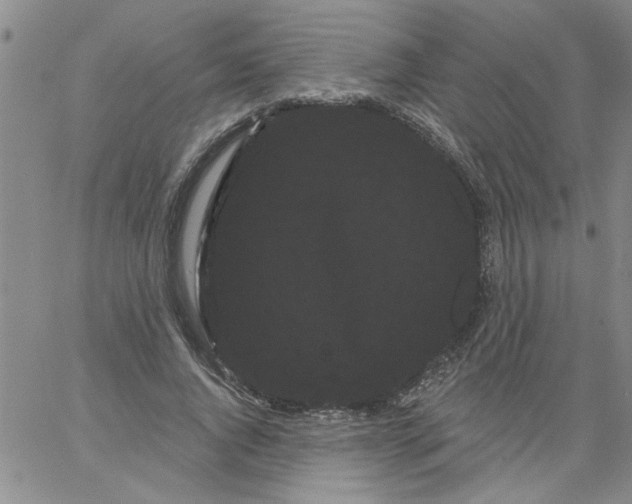 X0000066120736200604071911