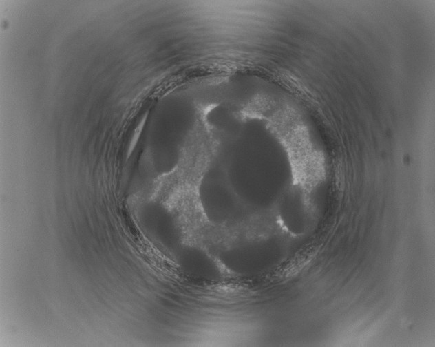 X0000066120737200604071911