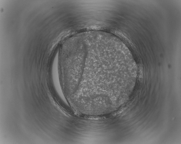 X0000066120738200604071911