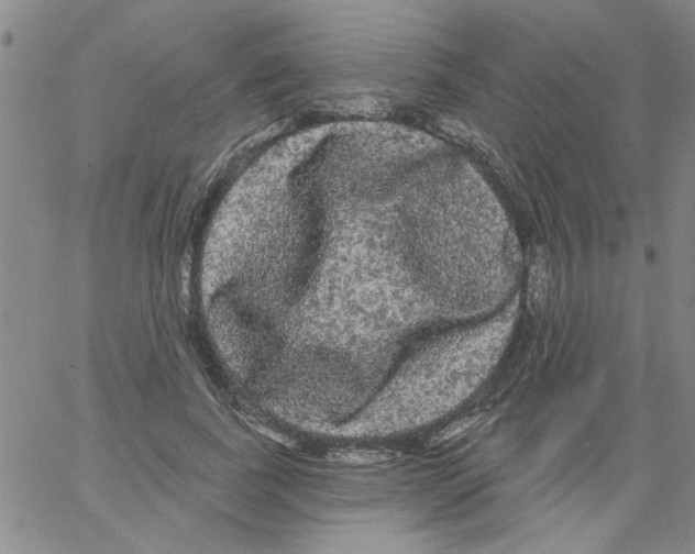 X0000066120739200604071911