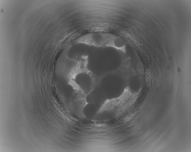 X0000066120741200604071911