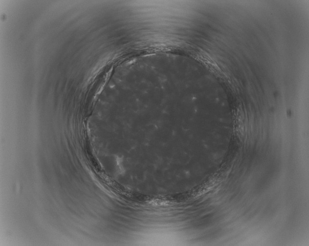 X0000066120742200604071911