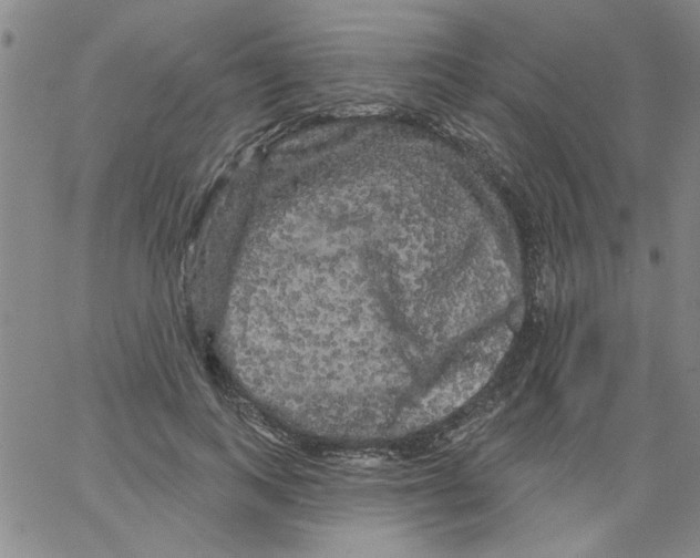 X0000066120743200604071911