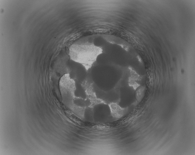 X0000066120745200604071911