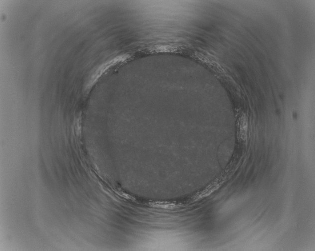 X0000066120746200604071911